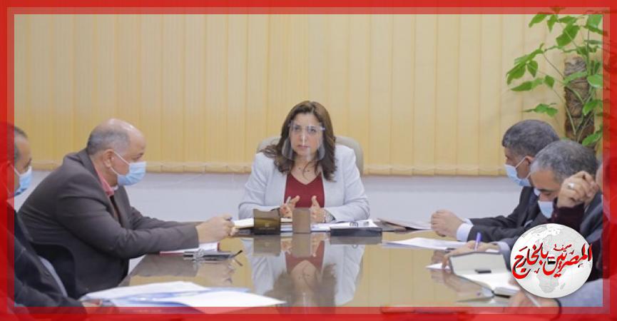 المصريين بالخارج