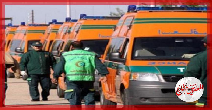 المصريين بالخارج