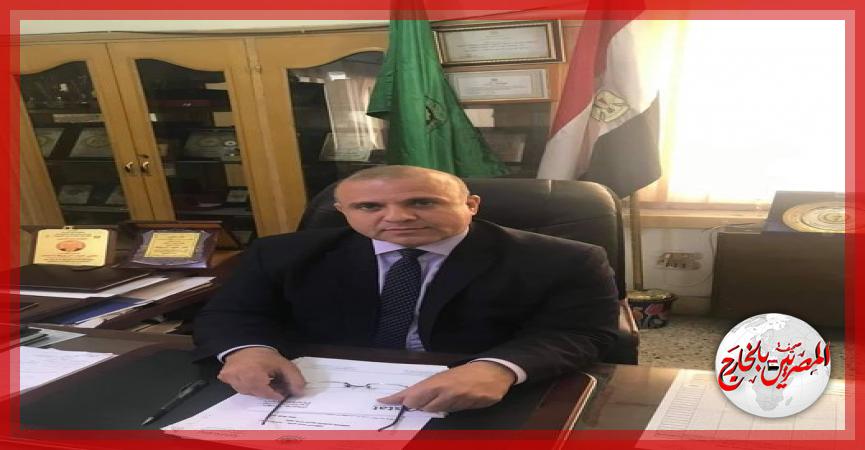 المصريين بالخارج