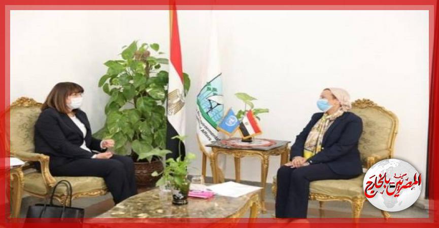 المصريين بالخارج