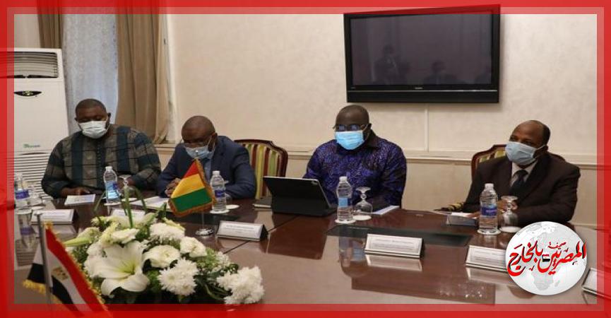 المصريين بالخارج