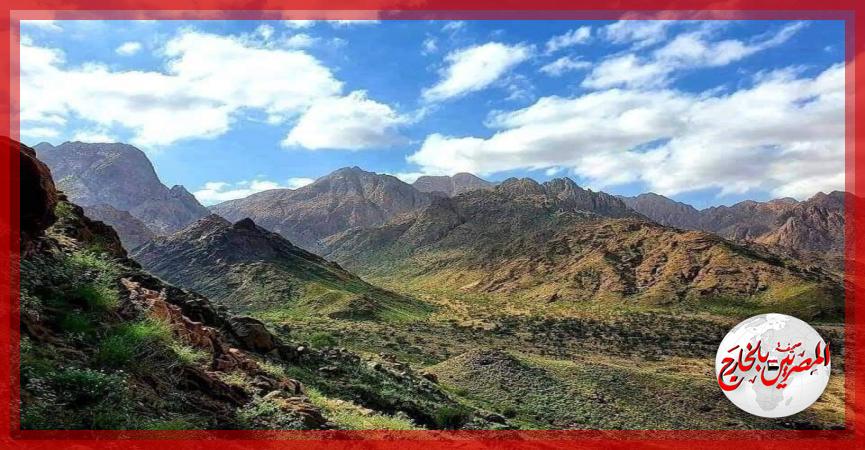 المصريين بالخارج