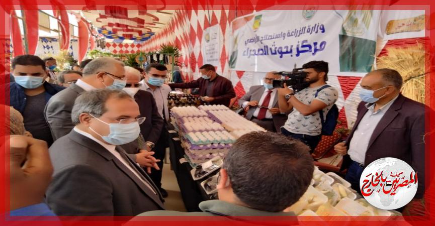 المصريين بالخارج