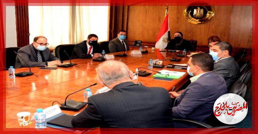 المصريين بالخارج