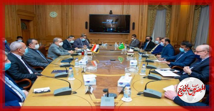 المصريين بالخارج