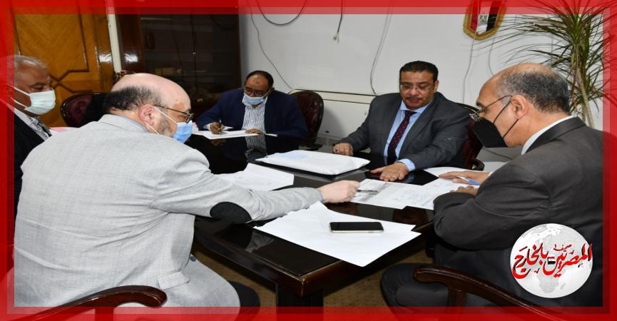 المصريين بالخارج