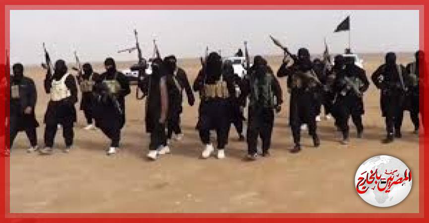 المصريين بالخارج