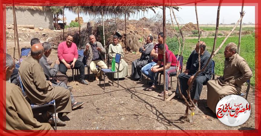 المصريين بالخارج