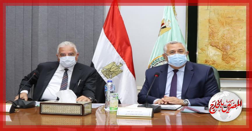 المصريين بالخارج