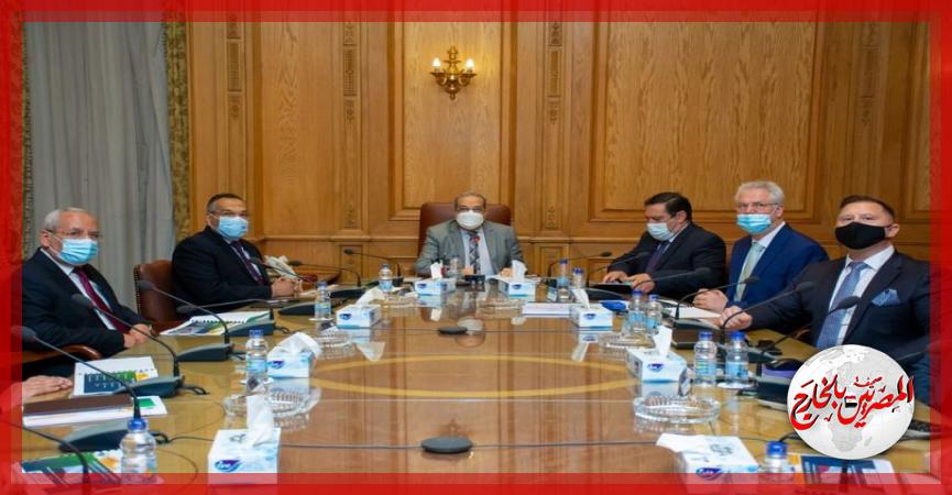 المصريين بالخارج