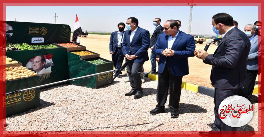 المصريين بالخارج