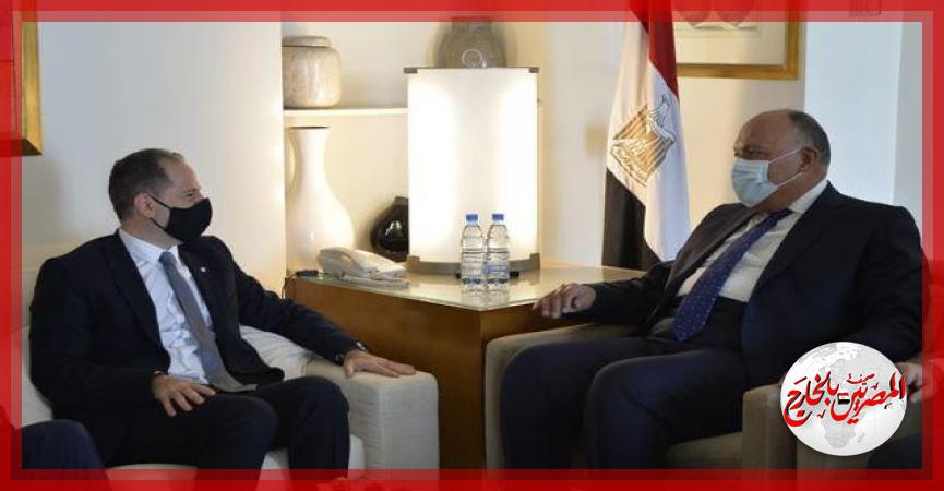 المصريين بالخارج