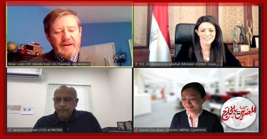 المصريين بالخارج