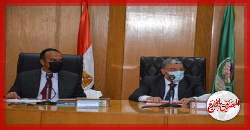 المصريين بالخارج