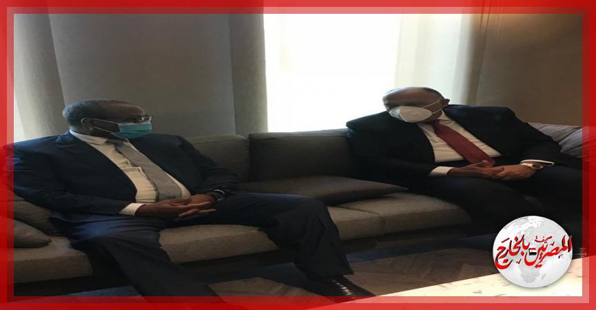 المصريين بالخارج