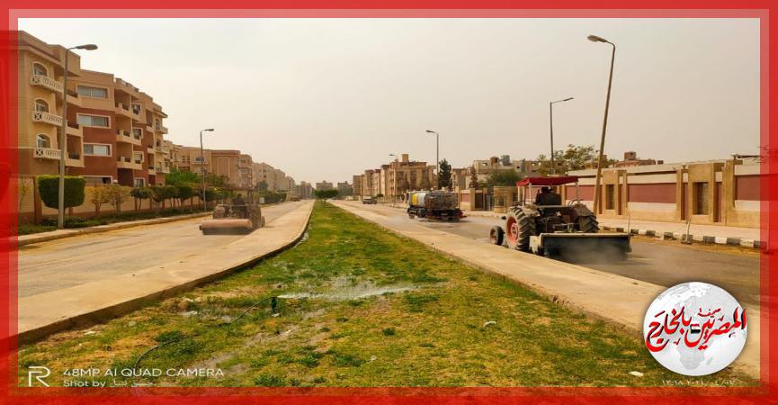 المصريين بالخارج