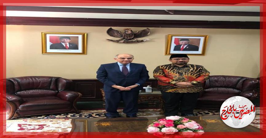 المصريين بالخارج