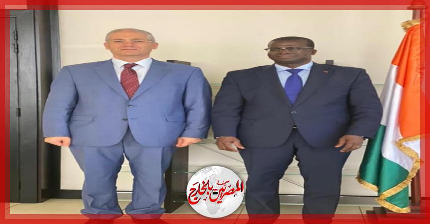 المصريين بالخارج
