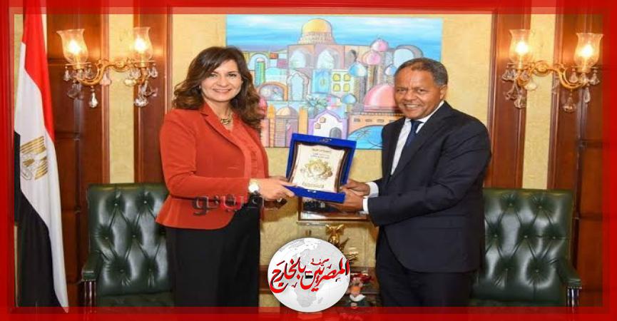 المصريين بالخارج