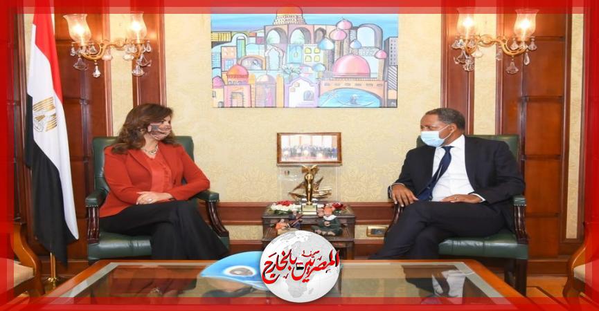 المصريين بالخارج