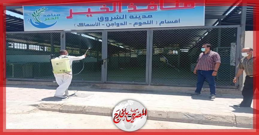 المصريين بالخارج