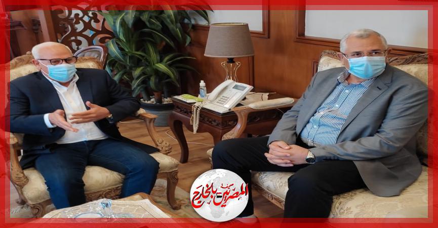 المصريين بالخارج