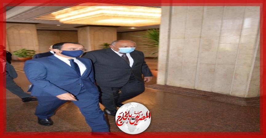 المصريين بالخارج