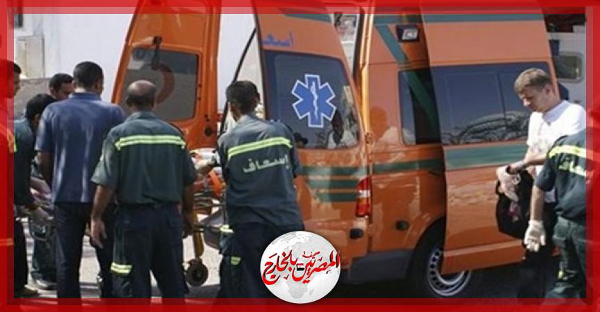 المصريين بالخارج