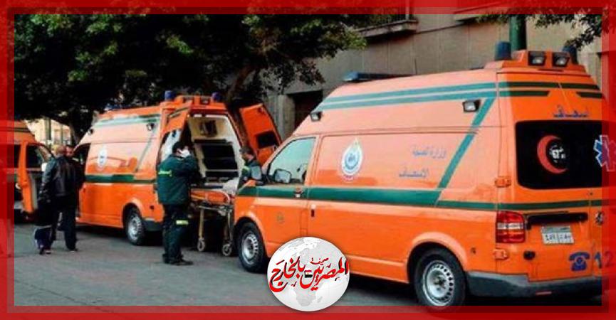 المصريين بالخارج