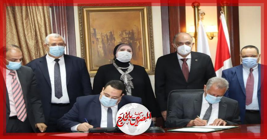 المصريين بالخارج