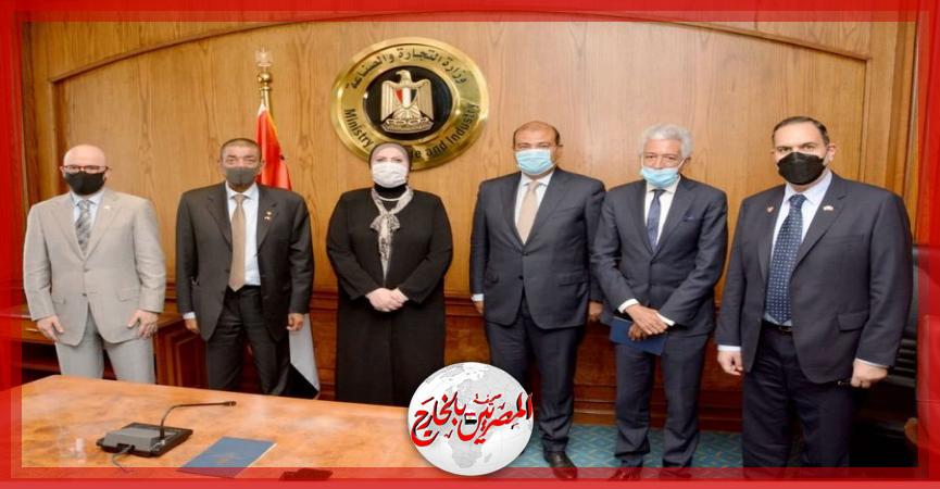 المصريين بالخارج