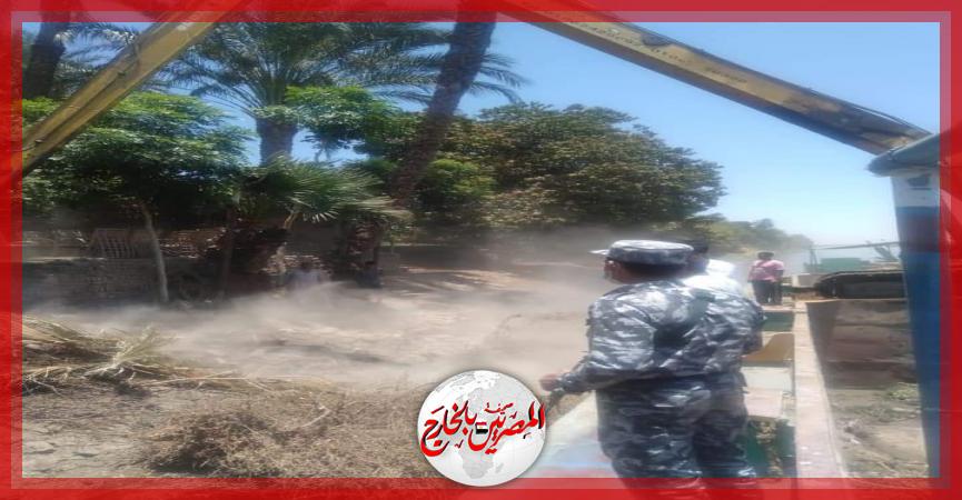 المصريين بالخارج