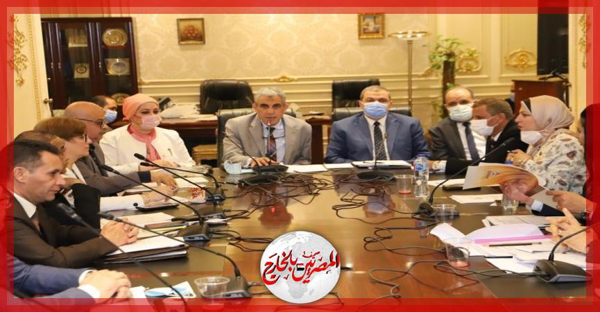 المصريين بالخارج