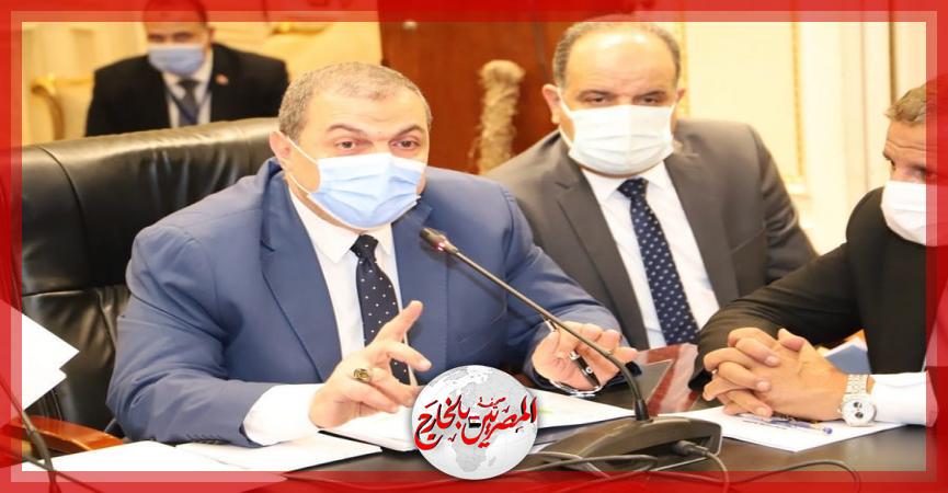 المصريين بالخارج