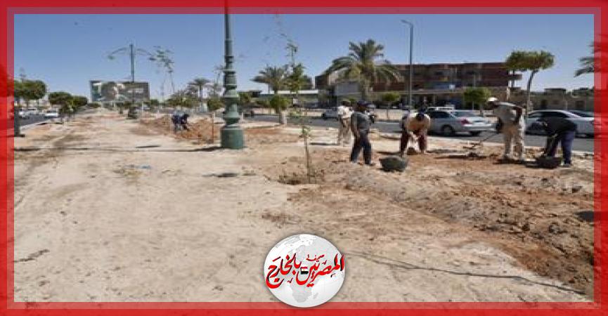 المصريين بالخارج