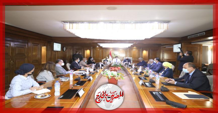 المصريين بالخارج