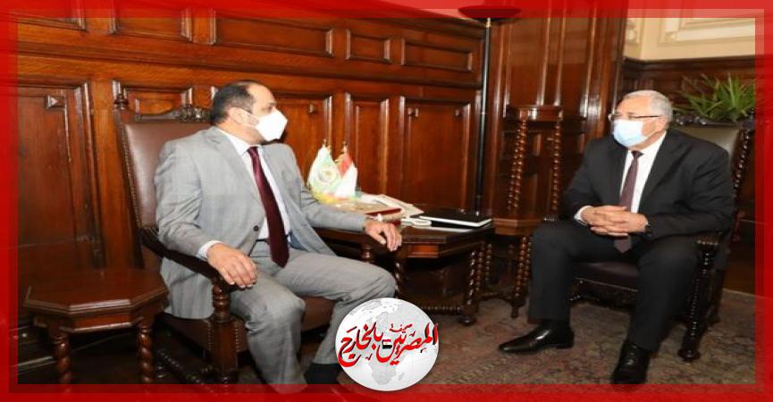 المصريين بالخارج