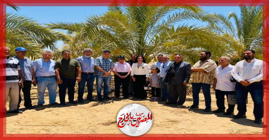 المصريين بالخارج