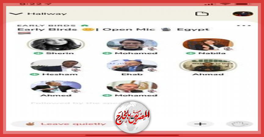 المصريين بالخارج