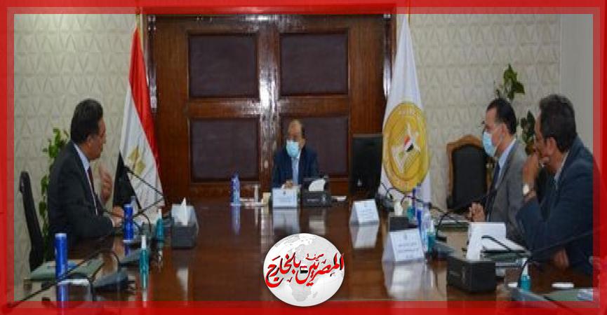 المصريين بالخارج