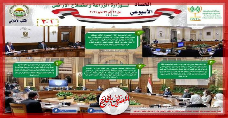 المصريين بالخارج