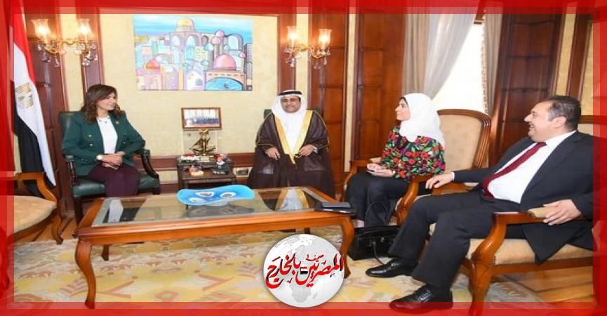 المصريين بالخارج