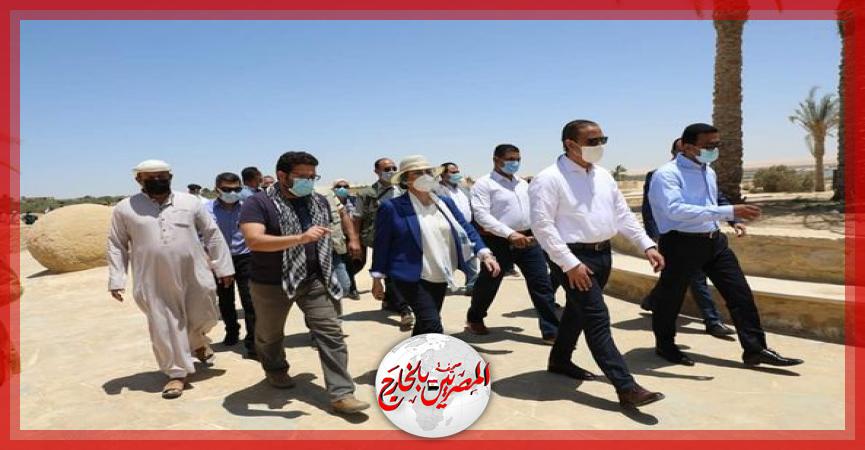 المصريين بالخارج