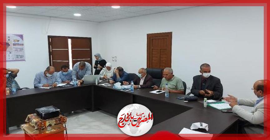 المصريين بالخارج