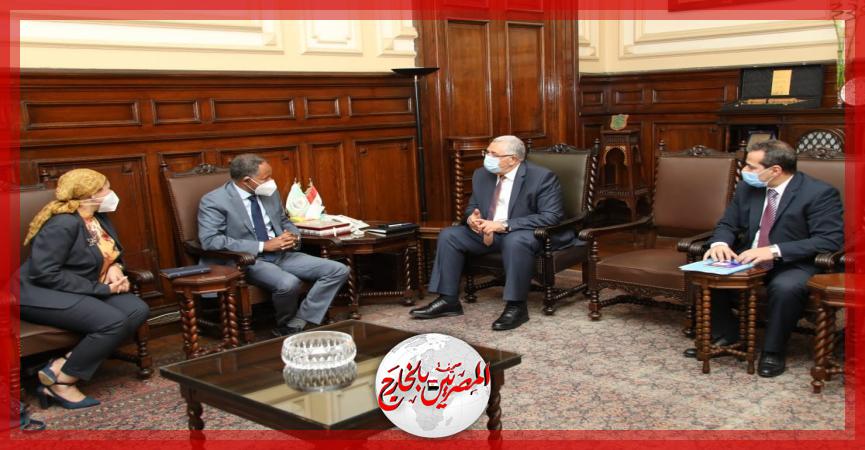 المصريين بالخارج