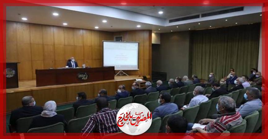 المصريين بالخارج