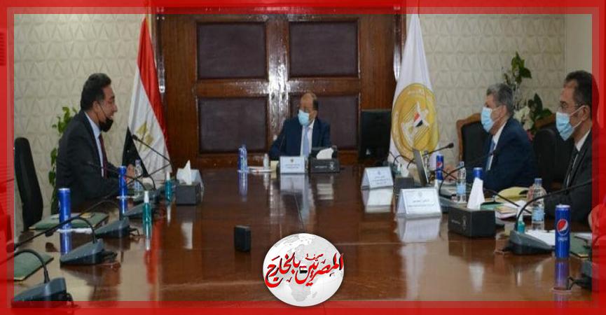 المصريين بالخارج