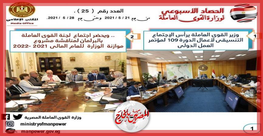 المصريين بالخارج