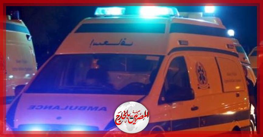 المصريين بالخارج