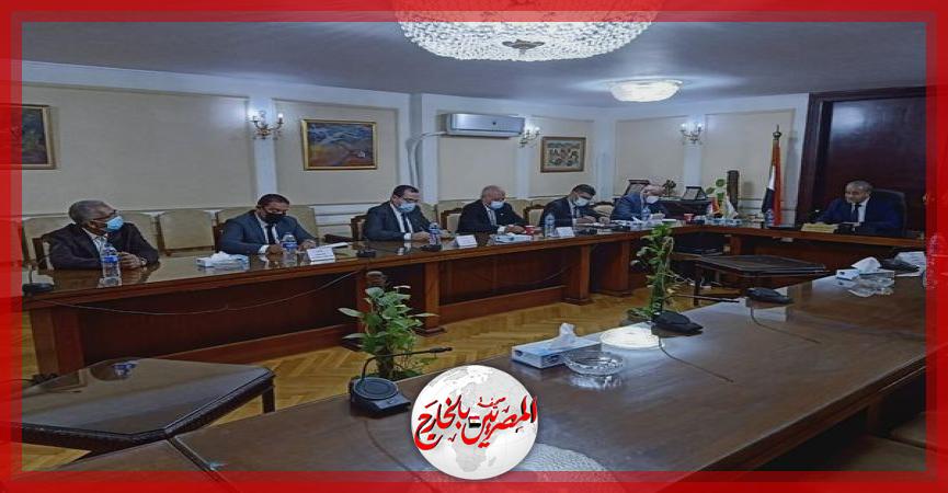 المصريين بالخارج